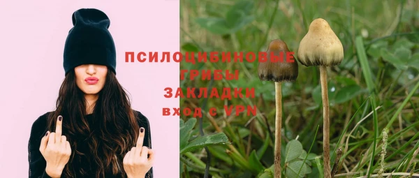 ECSTASY Армянск