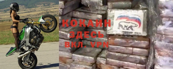 мяу мяу мука Арсеньев