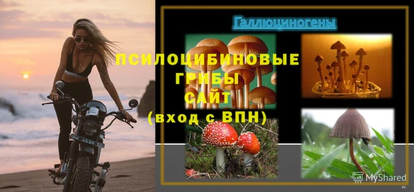 mdpv Сясьстрой