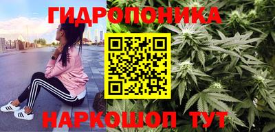 соль ск Новодвинск