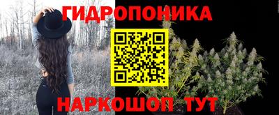 ECSTASY Новокубанск