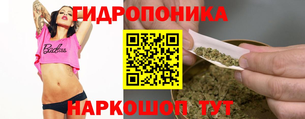 МАРИХУАНА конопля  Вход с VPN  Бошки Шишки AK-47  Каннабис White Widow  Конопля индика  Тверь 
